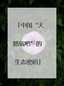 中国“天然氧吧”的生态密码